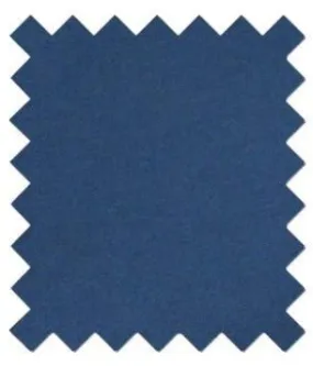 Airforce Navy Wedding Swatch