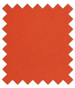 Burnt Orange Wedding Swatch